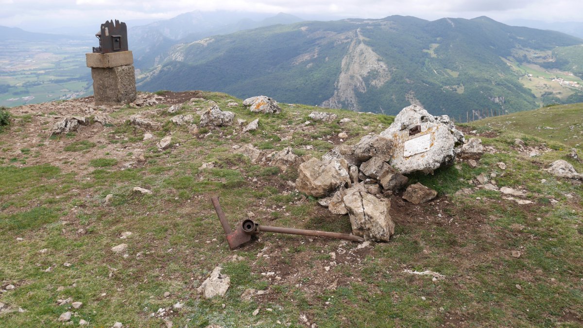 Ergako buzoi zaharra eta berria