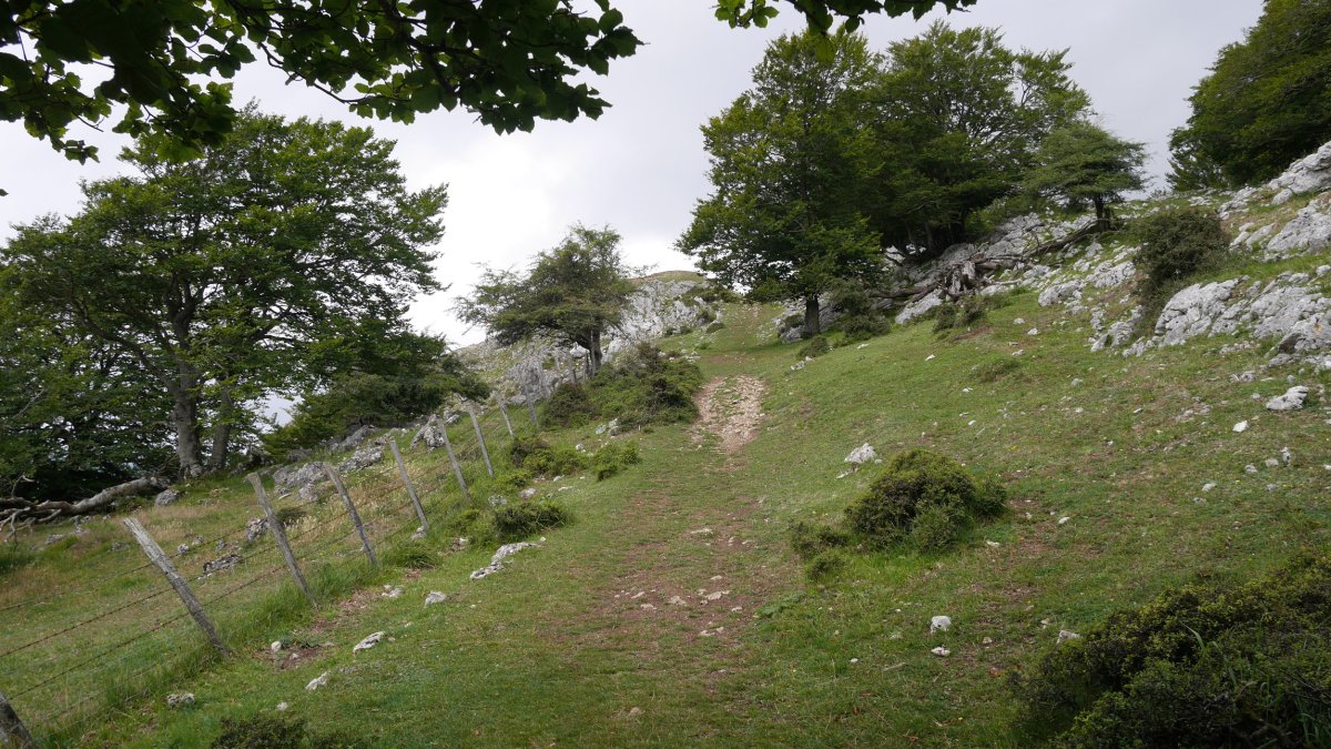 Ermitatik tontorrerako bidea