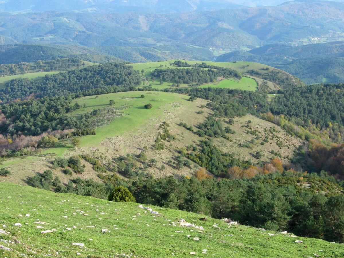 Usetxi aldeko larreak