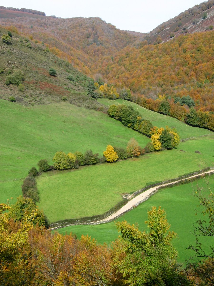 Zugarraundiko bailara