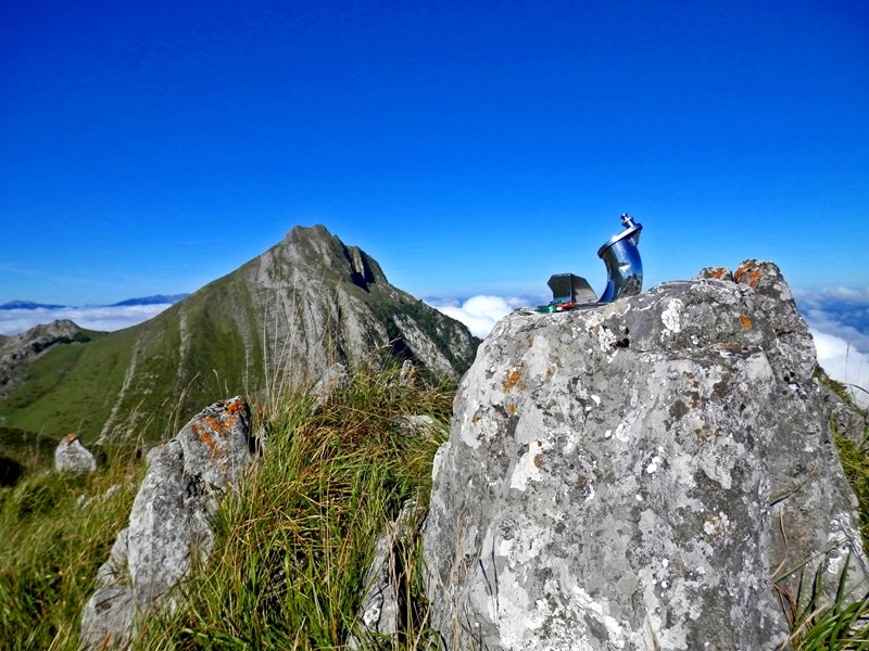 Buzoia eta Larrunarri