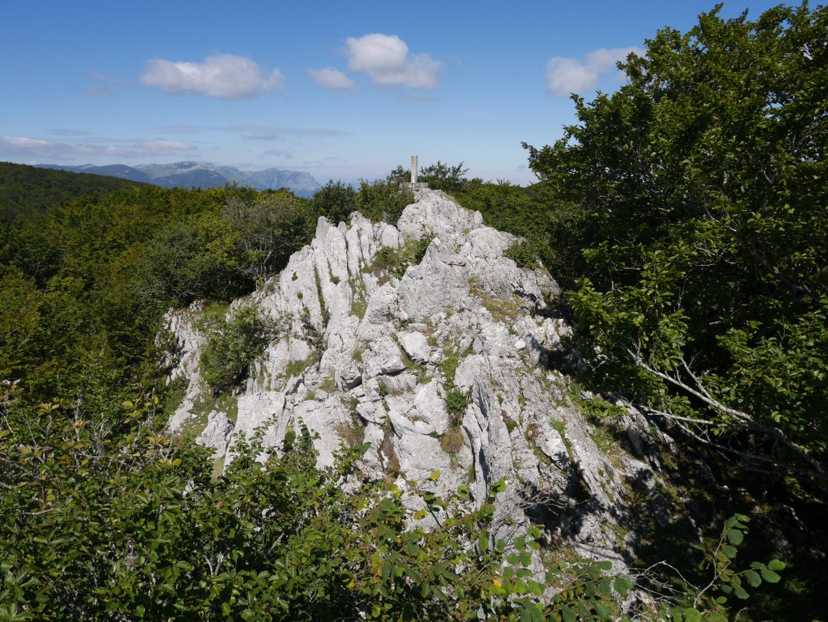 Illarraundi tontorra HEtik