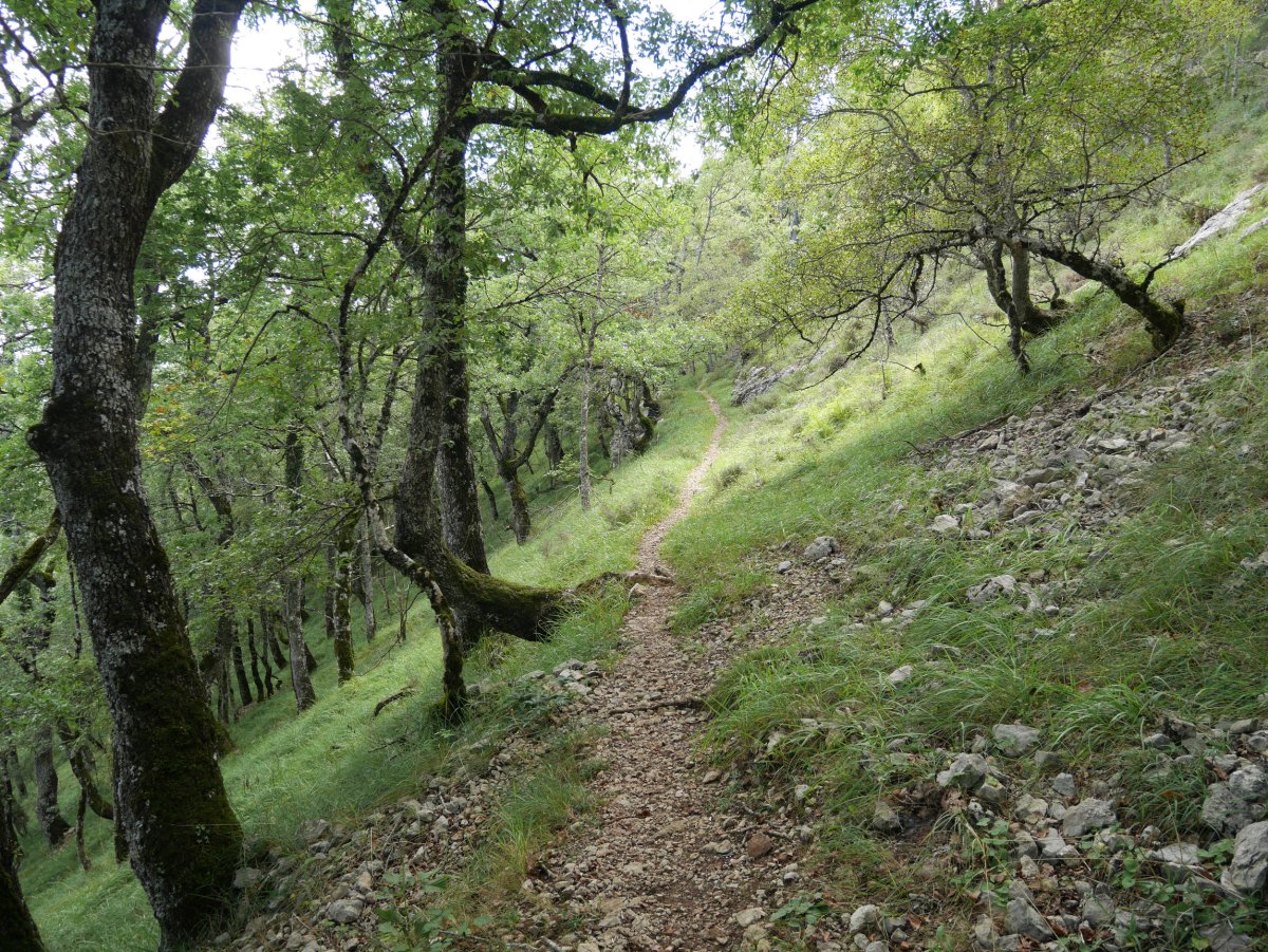 GR20 bidea Larrazpilgo malkorra inguratzen, Etxeberri eta Goldaratz artean