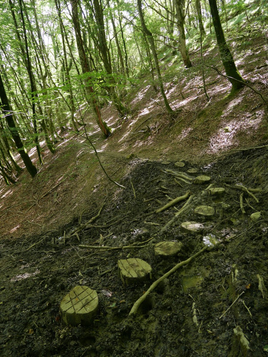 Errekasto lohitsu bat pasatzeko harpausoak GR20an