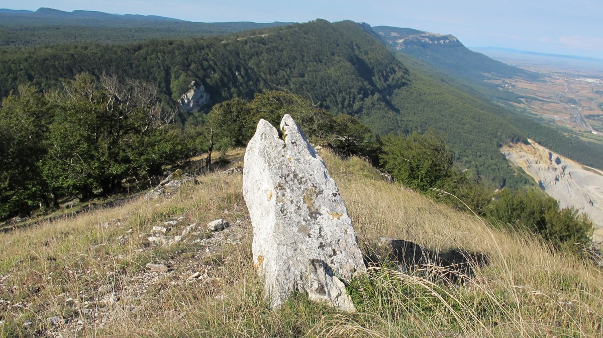 Zelaiaundi zutarria, Urbasa