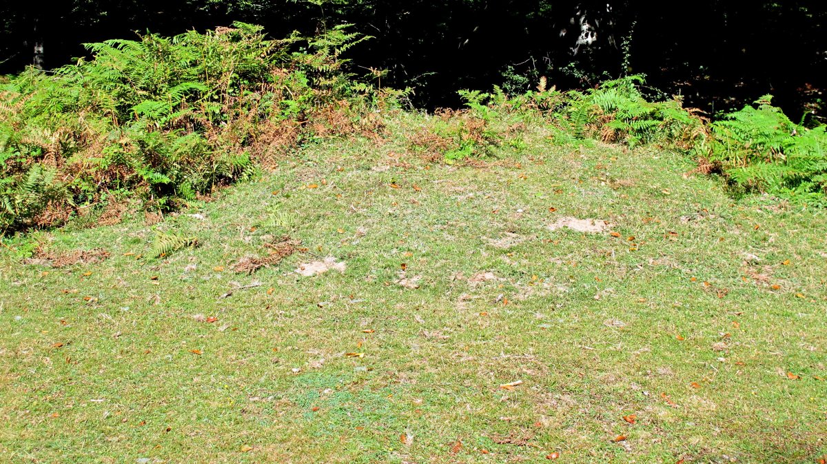 Larrakarte tumulua, Urbasa