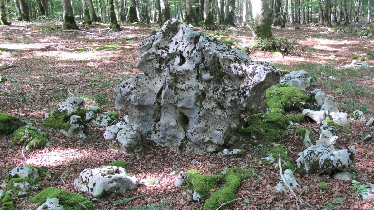 Bentakeita zutarria, Urbasa