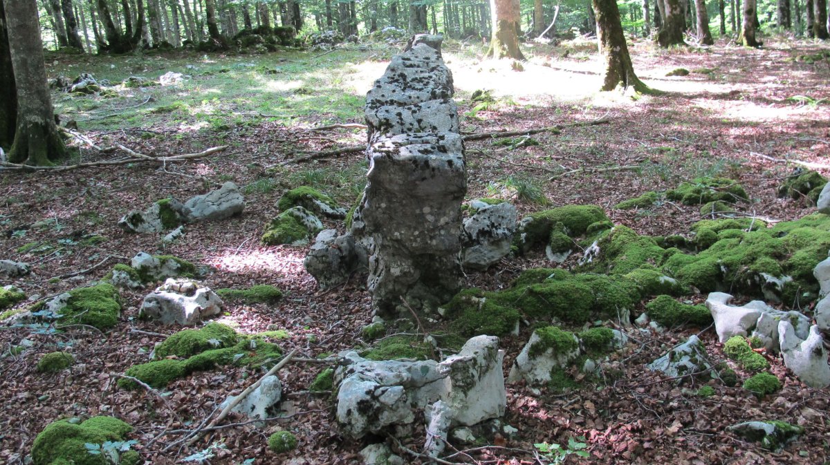 Bentakeita zutarria, Urbasa