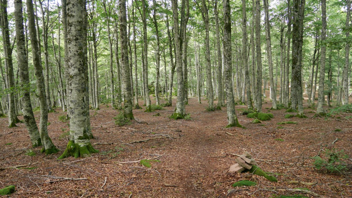 Goitiko Gaina eta Burdindogi arteko bideko pasartea