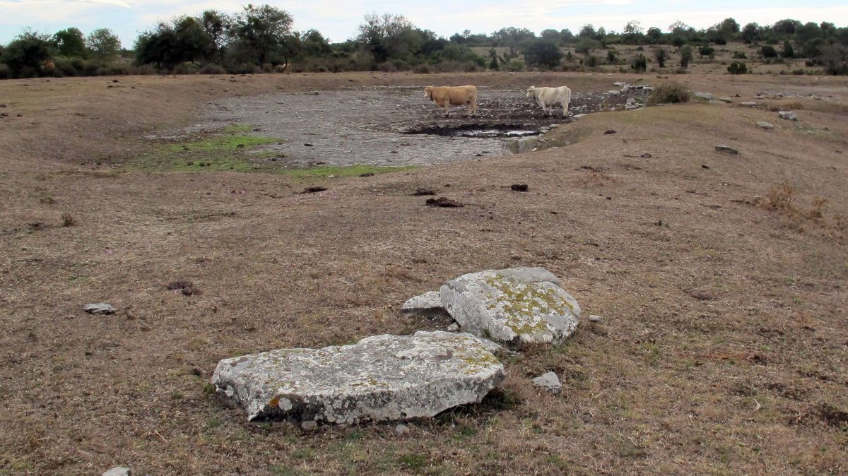 Ganikipozo zutarria, Badia mendikatea