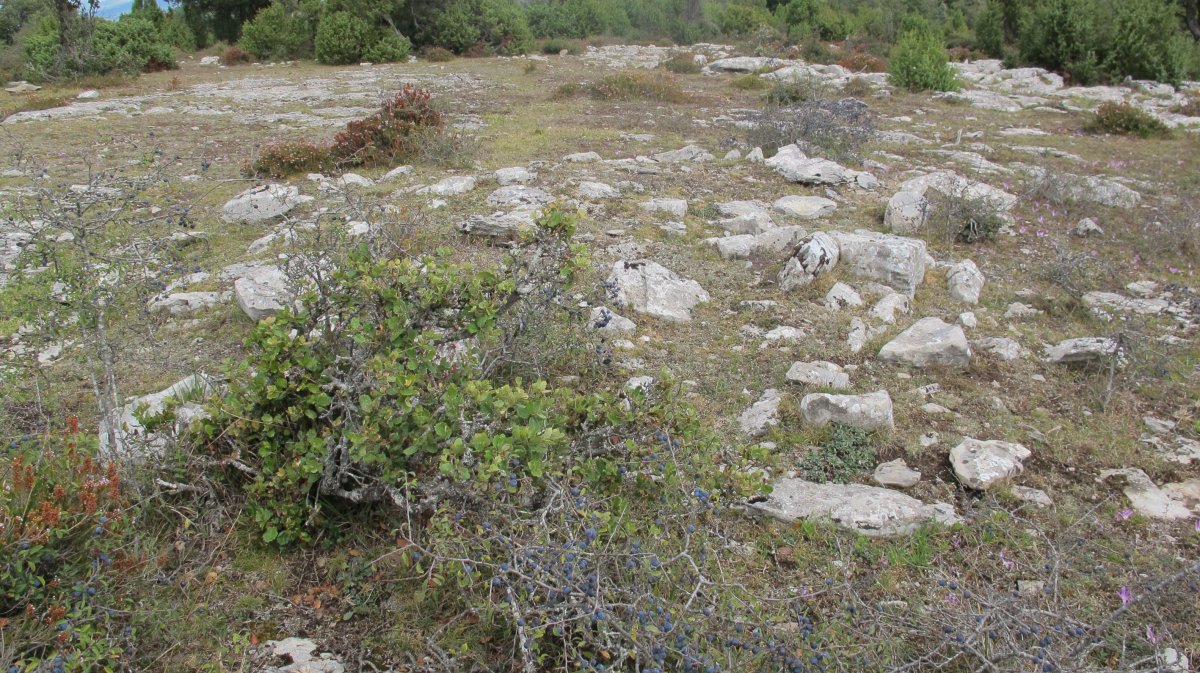 Torrogoitia este tumulua, Badaia mendikatea