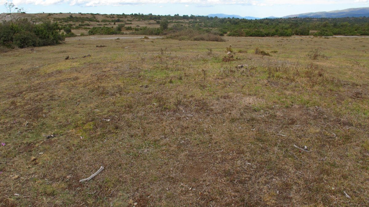 Portillo de Eza 2 tumulua, Badaia mendikatea