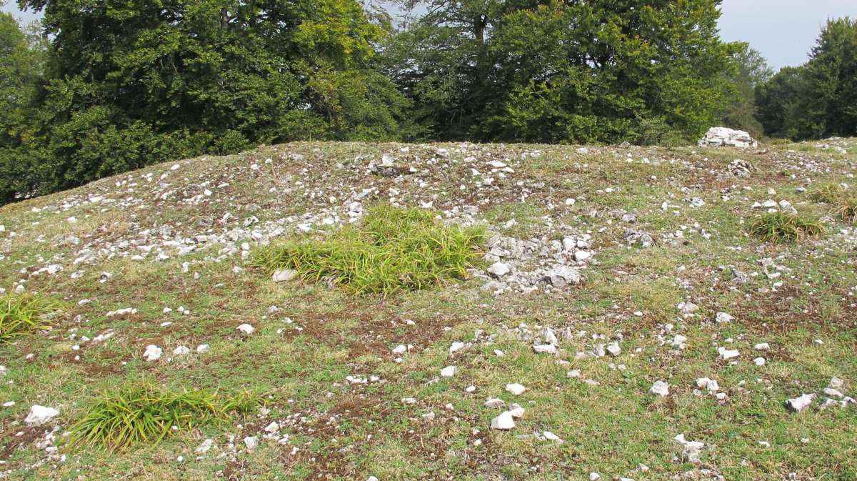 Raso de Auntzusta etxola hondoa, Urbasa