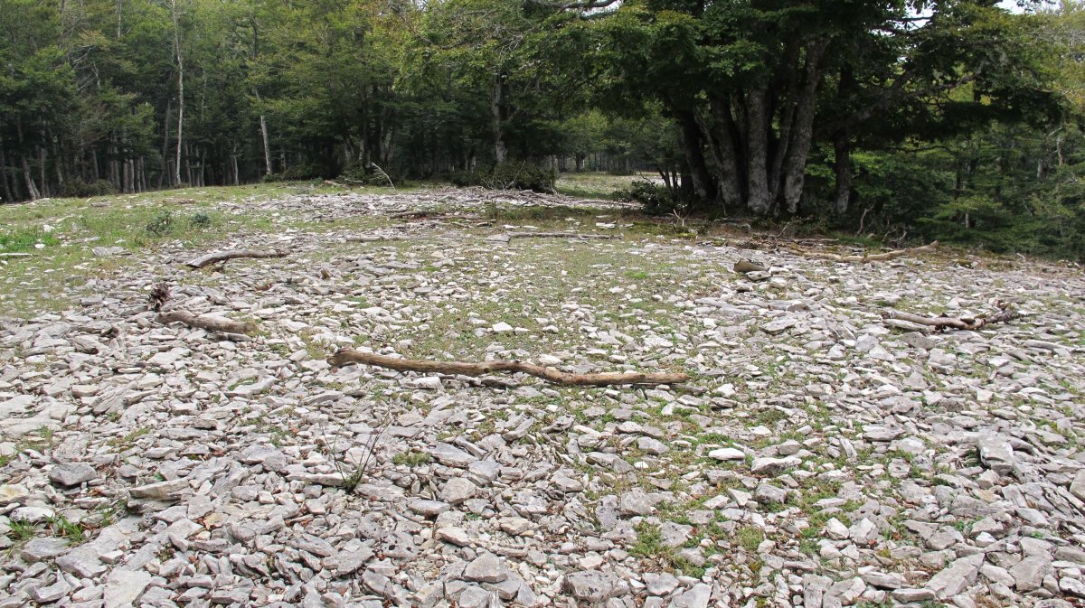 Ezkiaundi tumulua, Urbasa