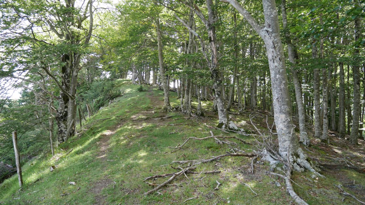 Azimendiko bizkarreko bidea