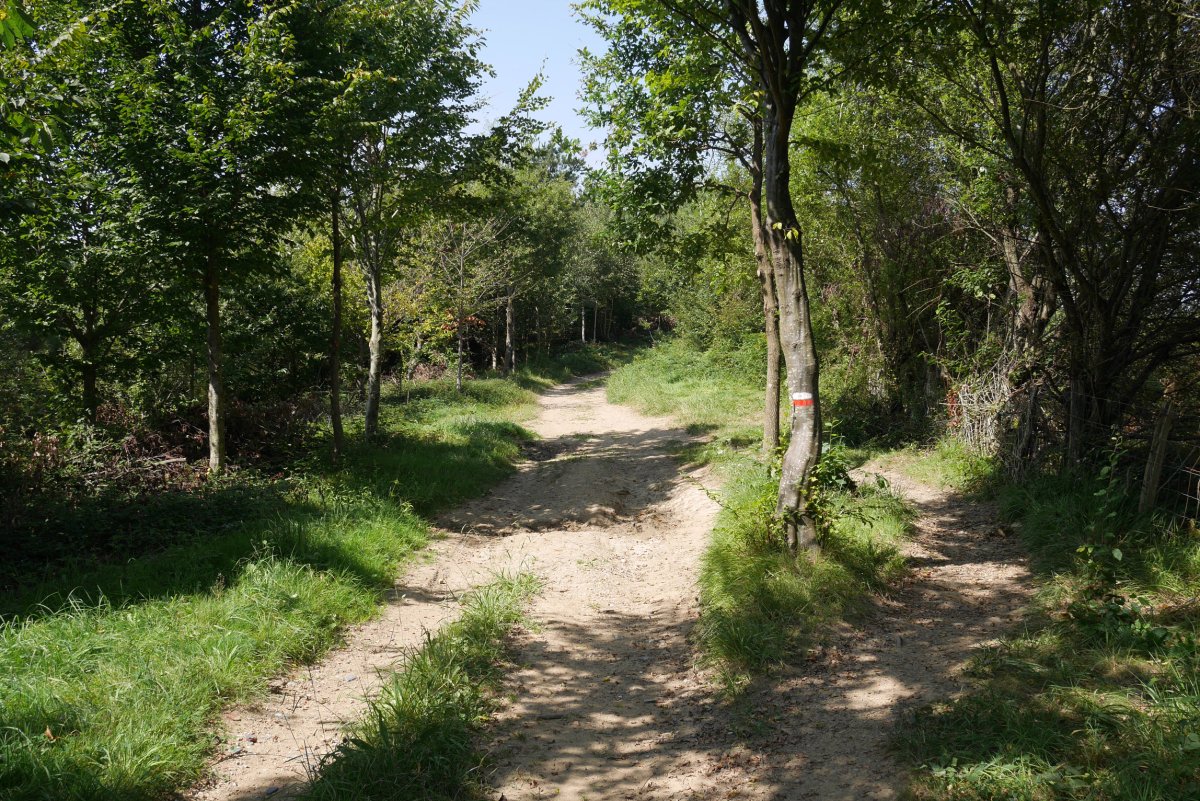 GR11 bidea San Martzialeko bizkarrean