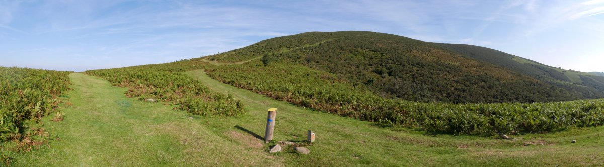 Osingo lepoa eta inguruak