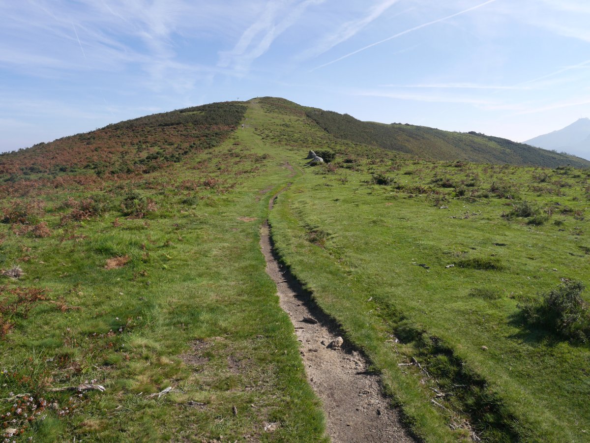 Manddale tontorra Hegoaldetik