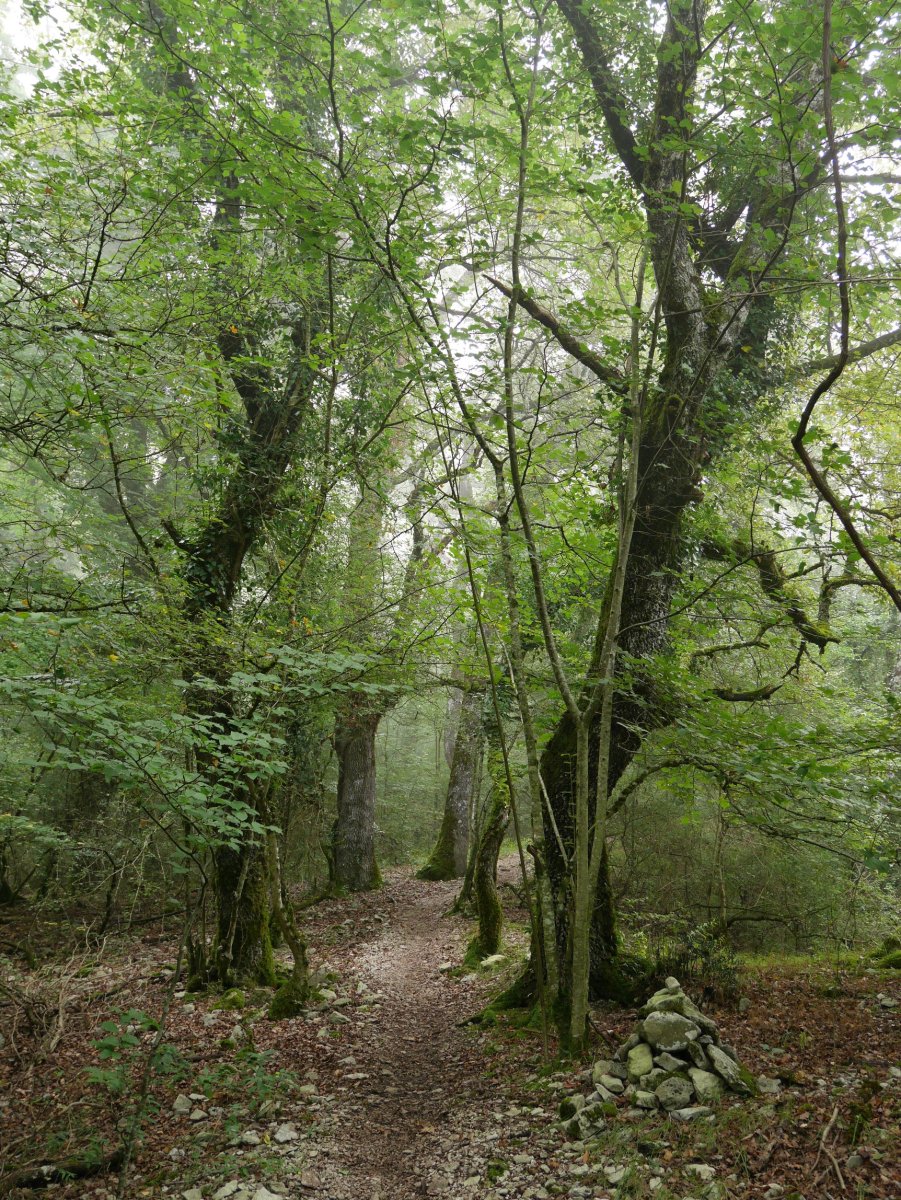 Uharte-Arakil aldeko bidea