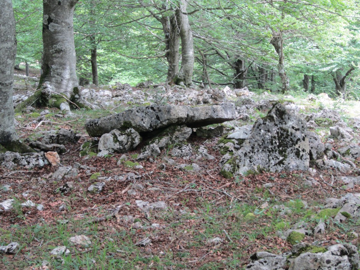 Menhir Baio Este   (Julio 2014)