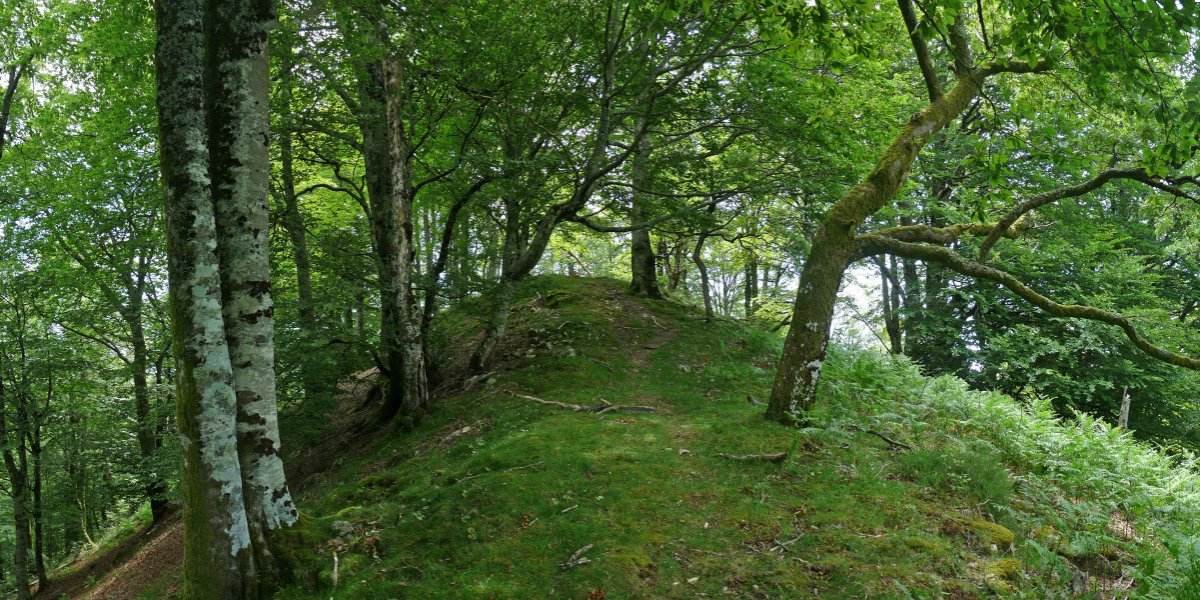 Agotarriko azken txanpa