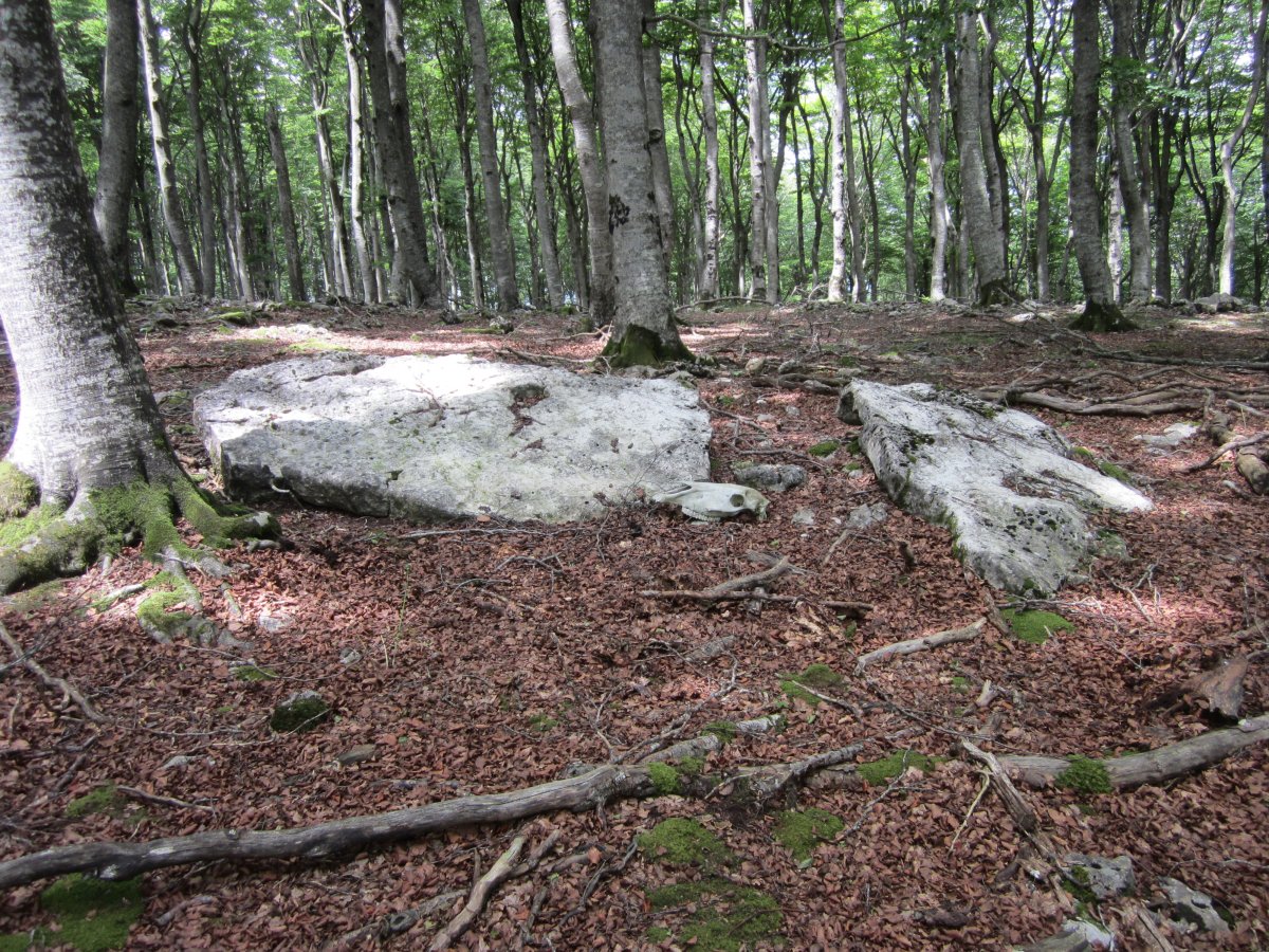 Menhir Baio I ( Izda). Menhir Baio II (Dcha) (Julio 2014)