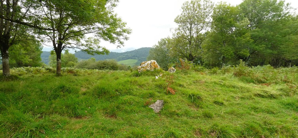 Atxitxia trikuharria