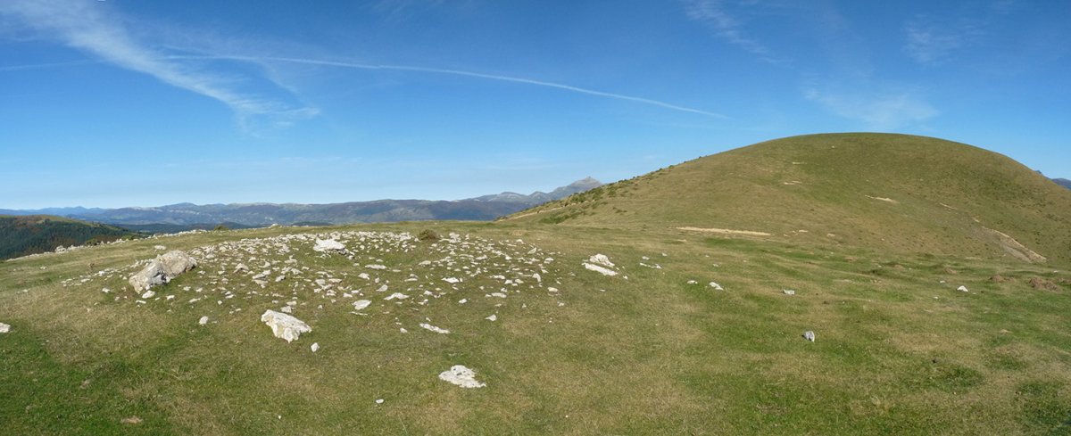 Largintia trikuharria. Atzean, Kakueta