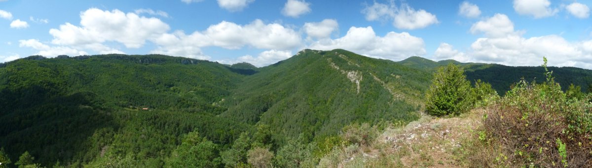 Erremendia Olagainako gailurretik