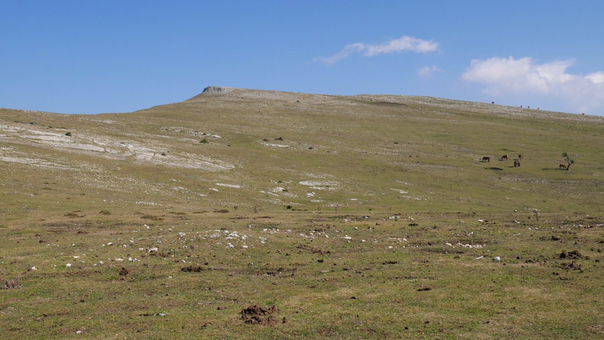 Surbe Legaire aldetik ikusita