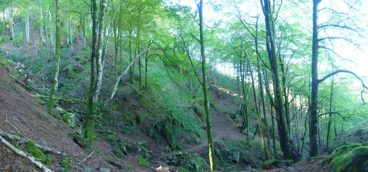 Itzulegiko lepoko bidea, pagadian barrena