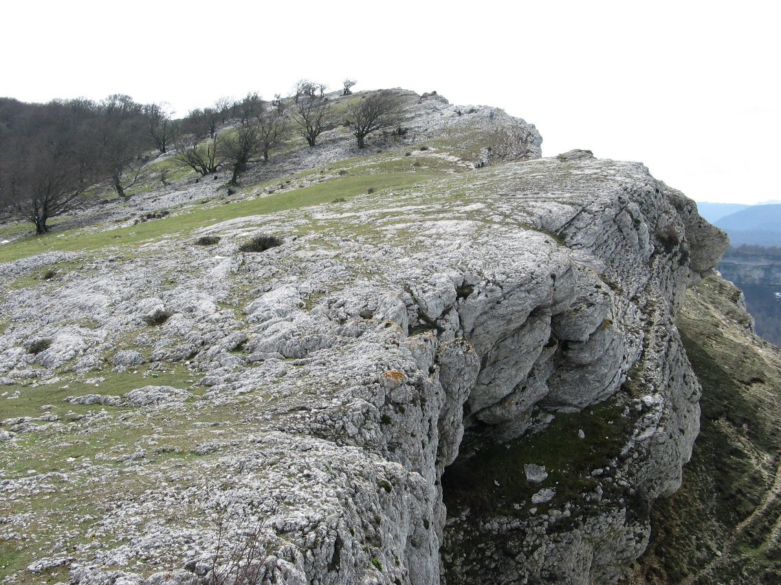 Ballo Mirutegi aldetik ikusita
