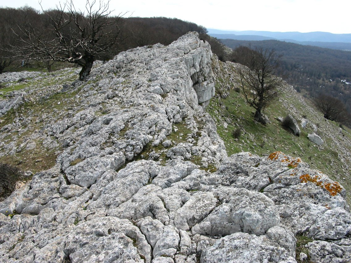 Hegoaldeko ertza tontorretik