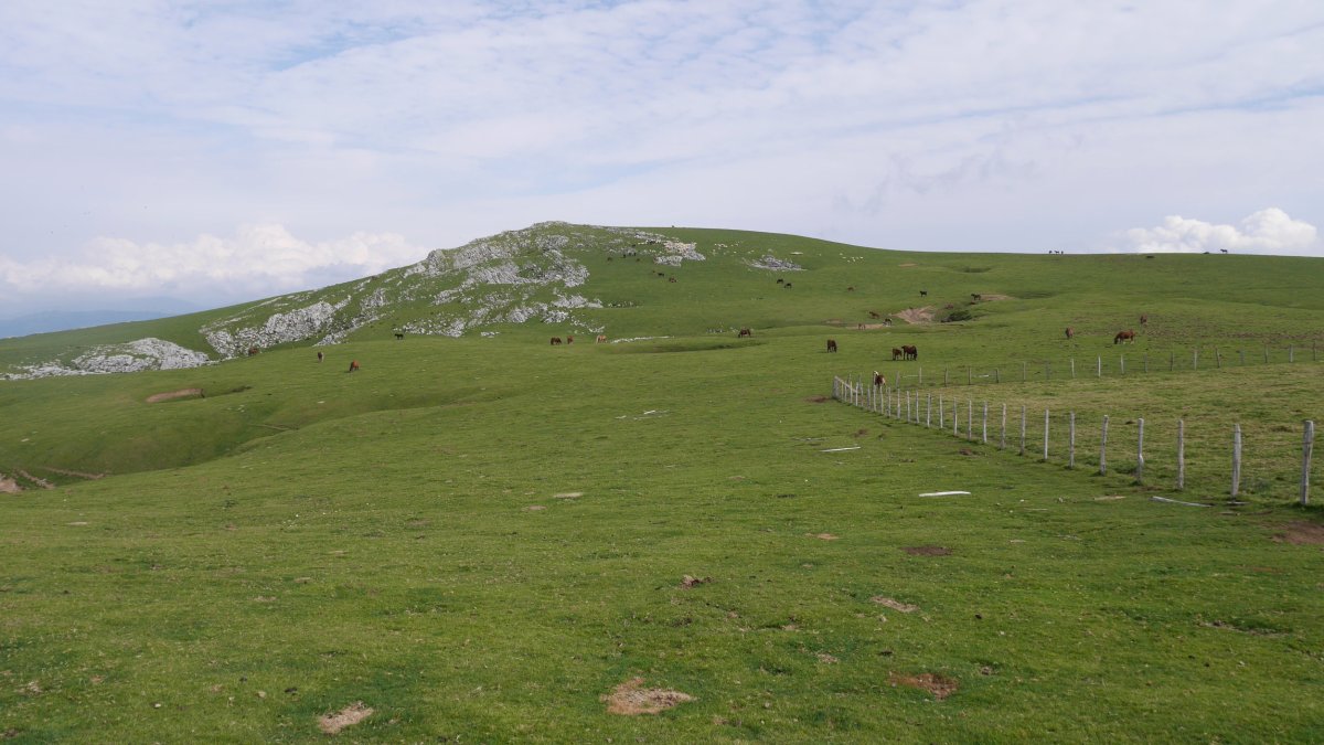 Uzkuiti Aoki aldetik ikusita