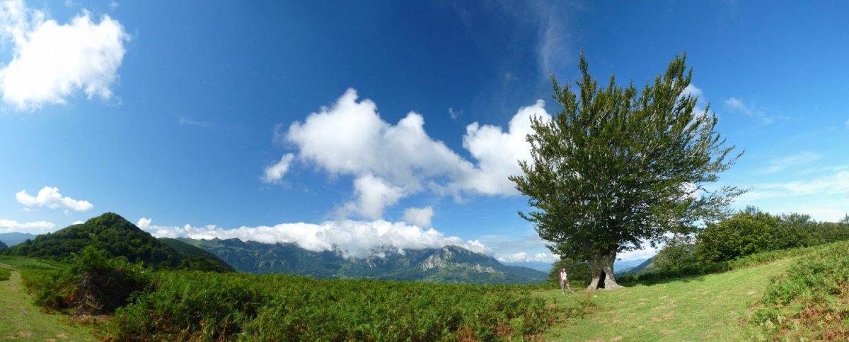 Deskargako lepoa, Musaio bidean