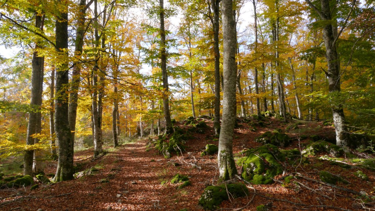 GR20 bidea tontorretik gertu pasatzen da