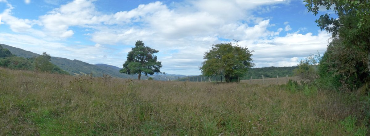 Mitxilaburuko gailurra