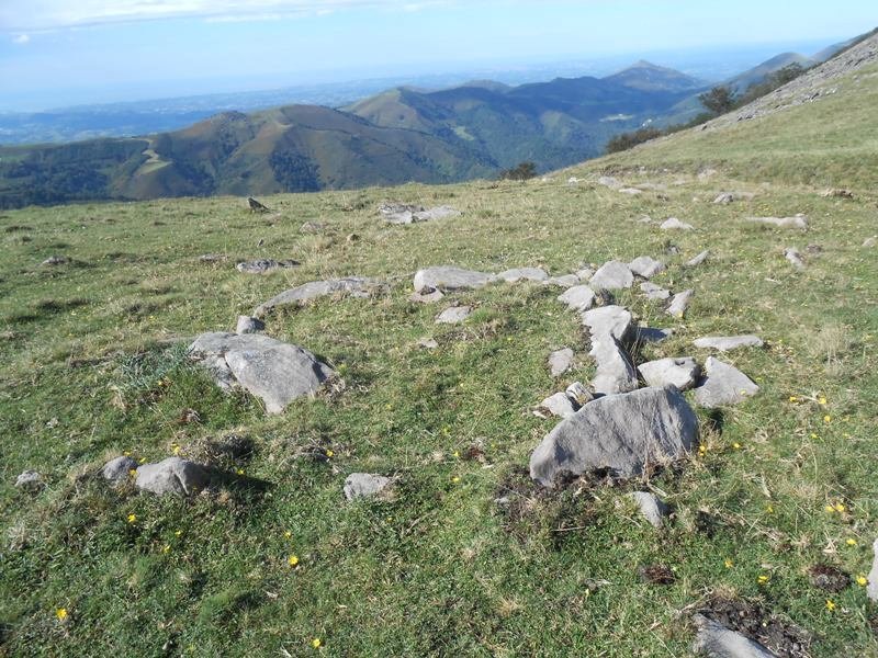 zista otanarteko lepoa