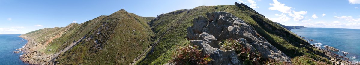 Itsasaldeko hegiak, itsasbazterreko bideko izkin batetik 