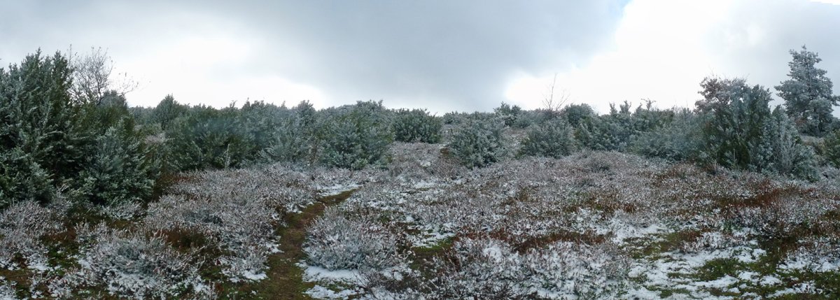 Larrazpiletako gainaldera iristen