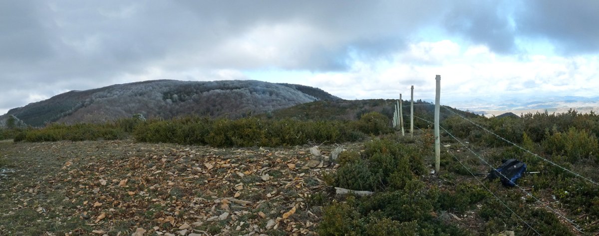 Larrazpiletako gainaldea