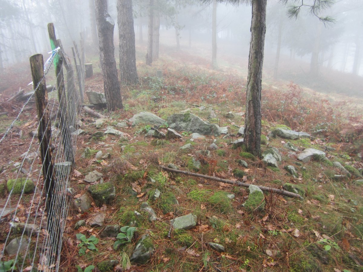 Dólmen Amutxanda   (Diciembre  2014)