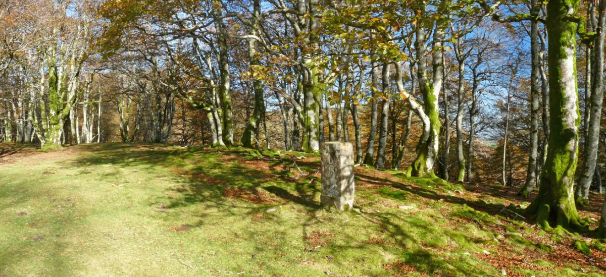 110. mugarria, Burdingurutxeko gailurrean