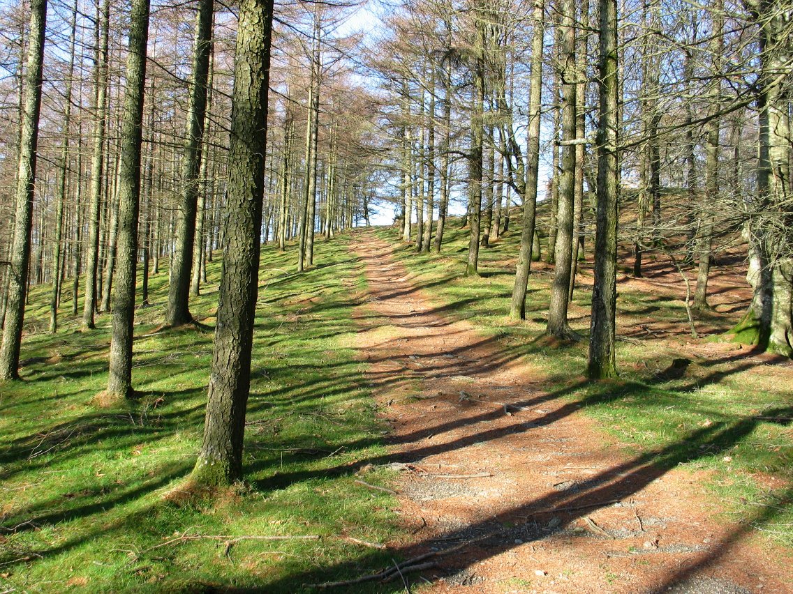 Tontorrerako bidean azken metroak