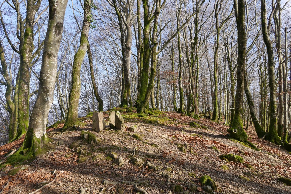 Oberan, mugarrien gaina