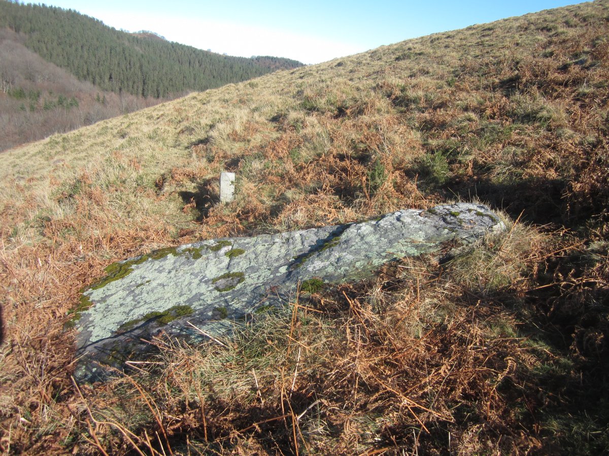 Menhir Mendibil (Enero 2015)