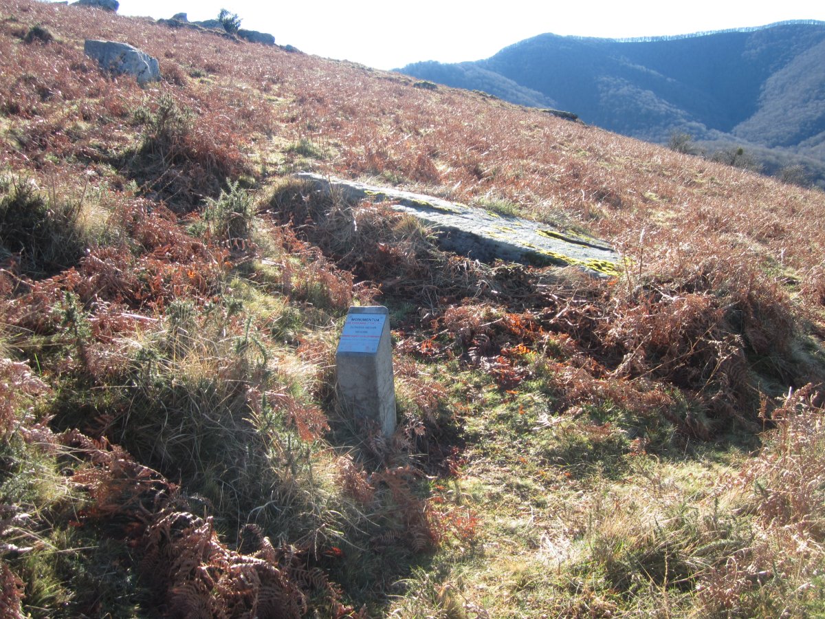 Menhir Mendibil  (Enero  2015)