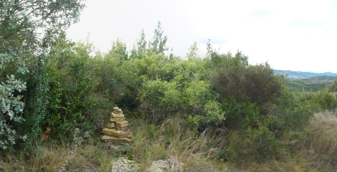 Garnatx gaineko gailurra