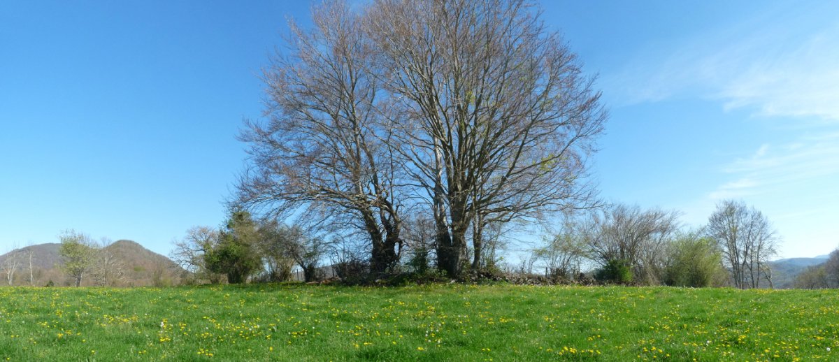 Iturrondoko gailurra