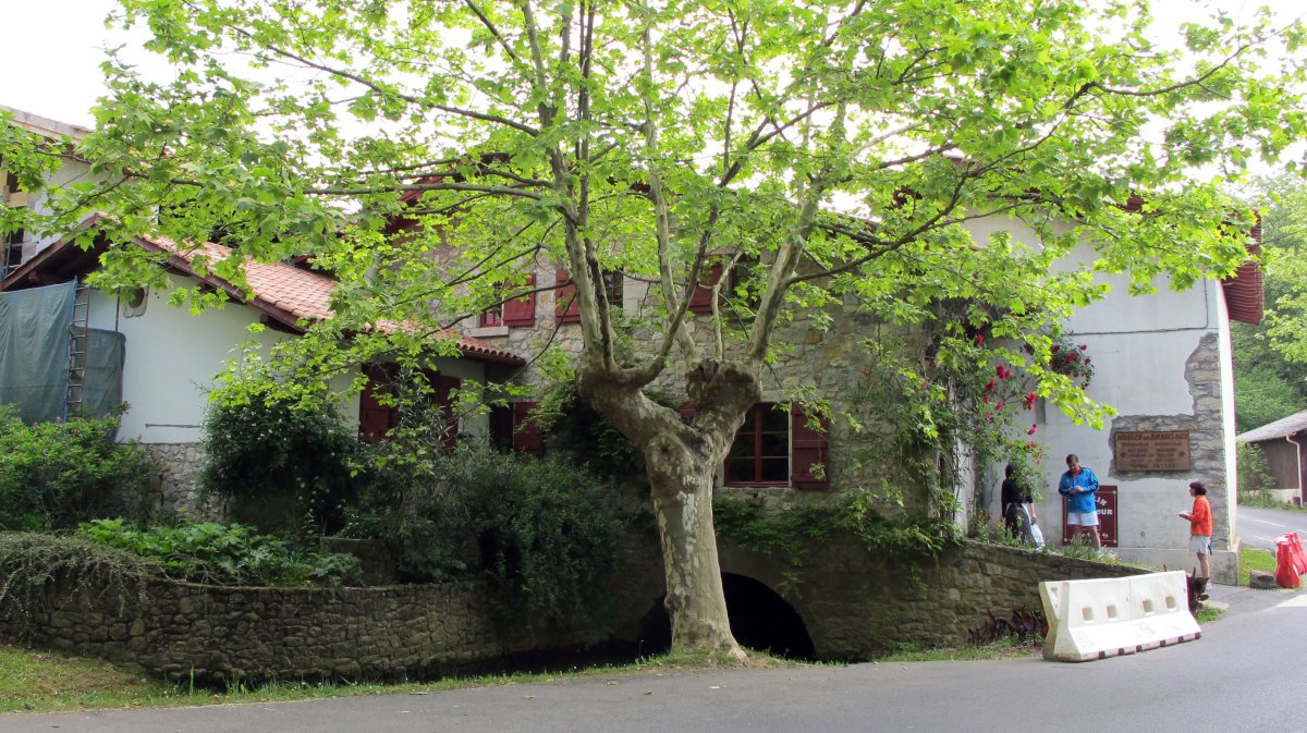 Basilurreko errota, Bidarte